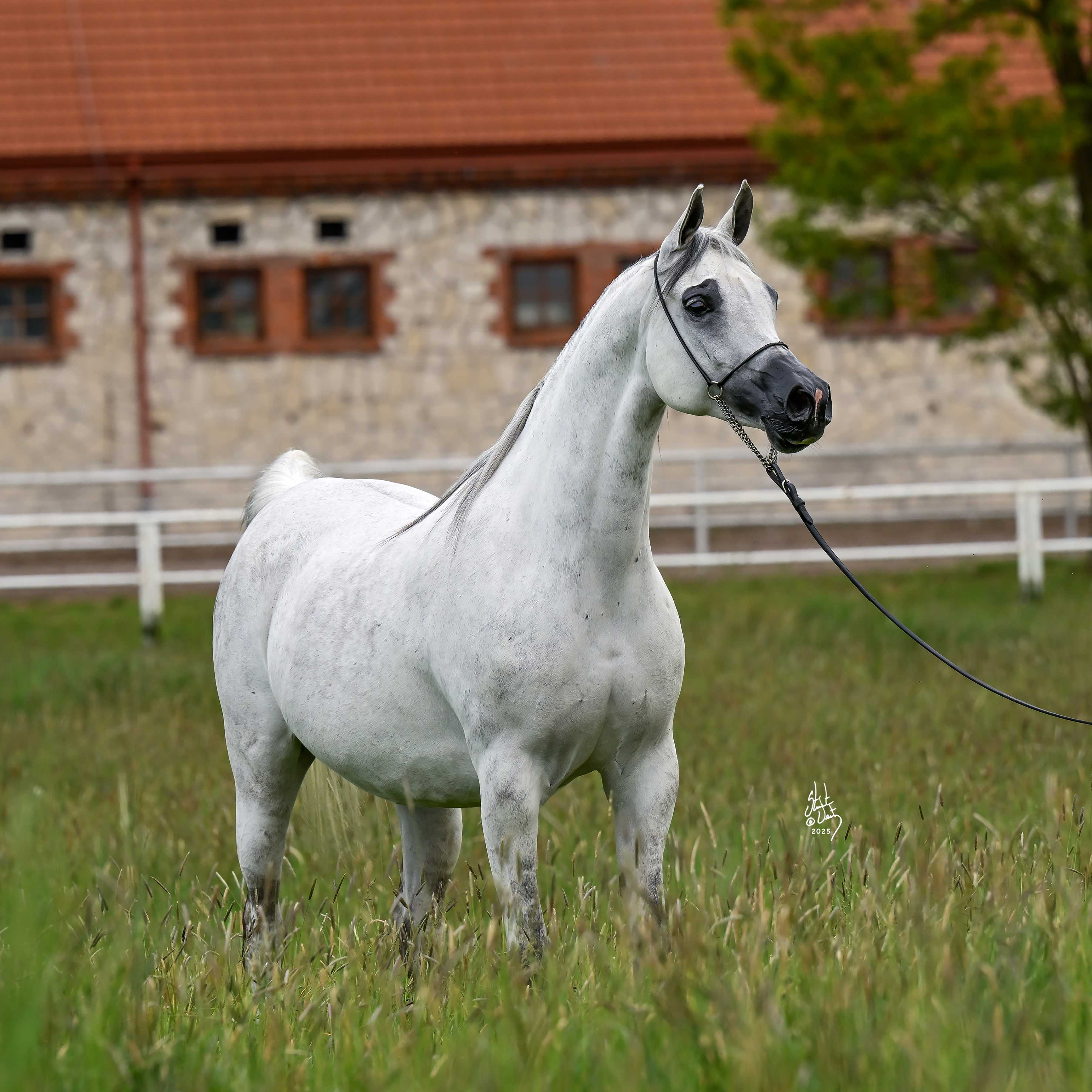 FERRMARIA — Mare · 13y